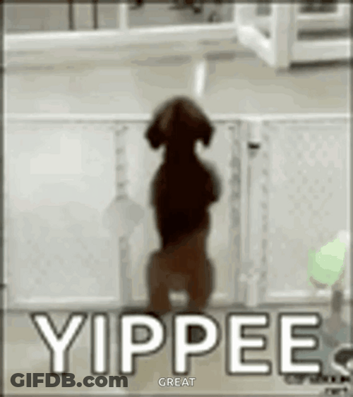 Yipee Excited Puppy GIF