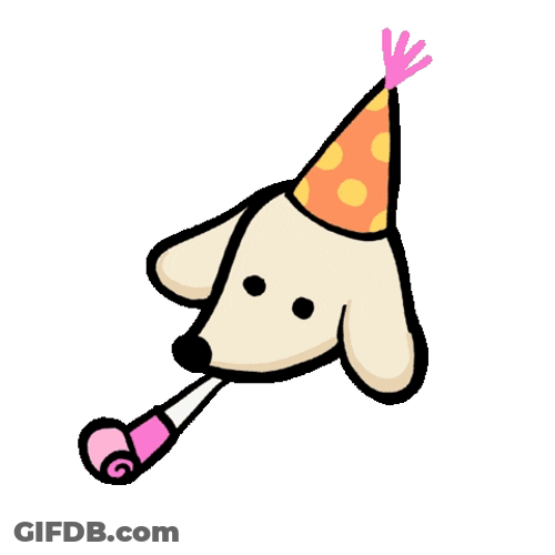 Yipee Party Dog Wohoo GIF