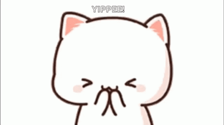 Yippee Cat Sticker GIF