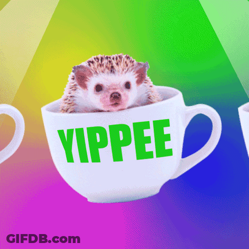 Yippee Dancing Cup GIF