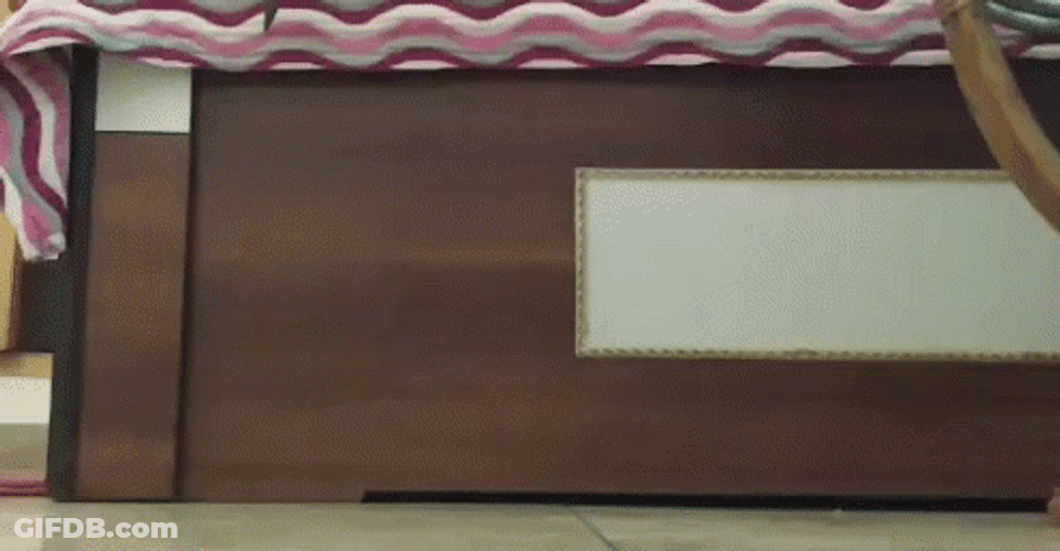 Yo Yo Moving Up And Down GIF