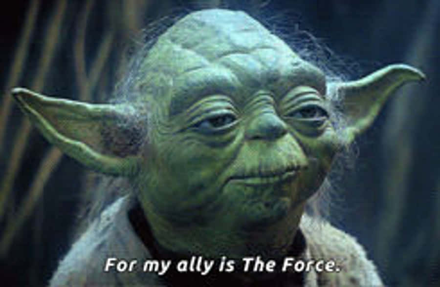 Yoda Ally Is The Force GIF
