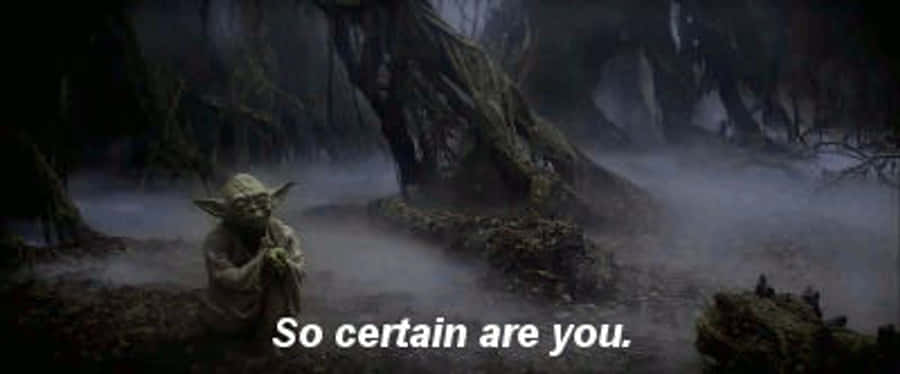 Yoda Alone In The Forest GIF