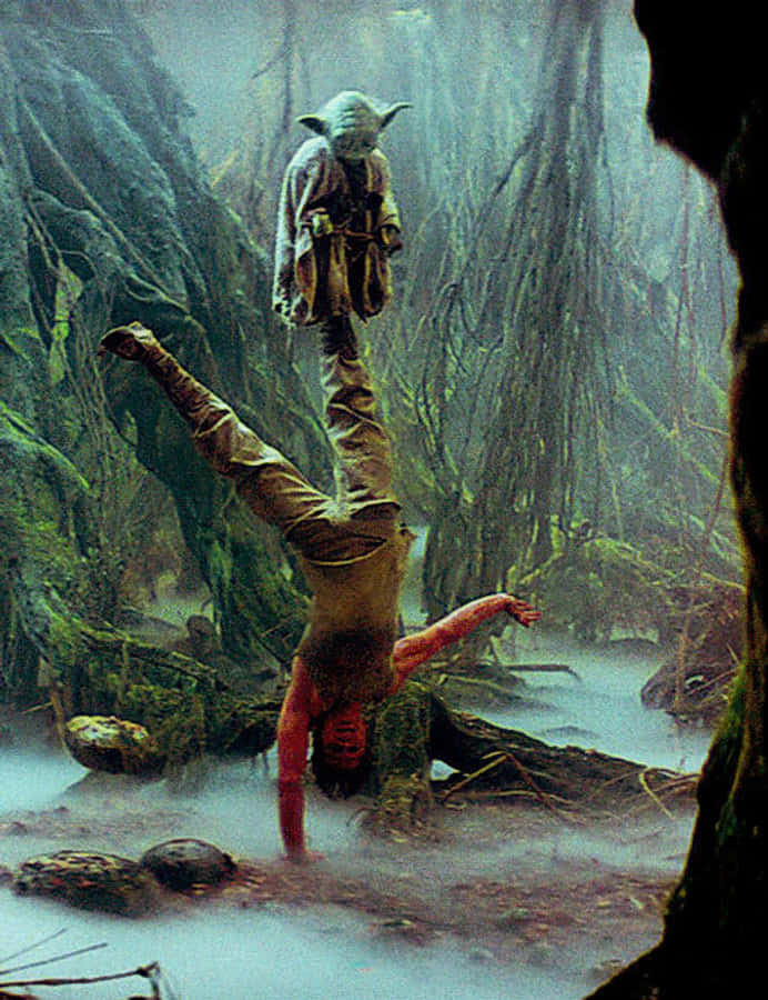 Yoda Balancing On A Guy GIF