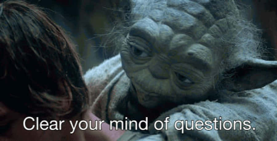Yoda Clearing Mind From Questions GIF