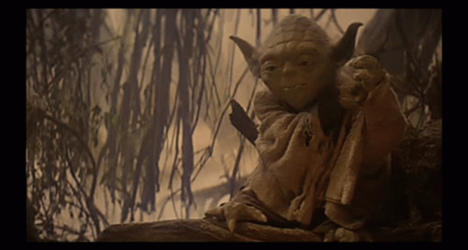 Yoda If I Had Your Giant Feet GIF