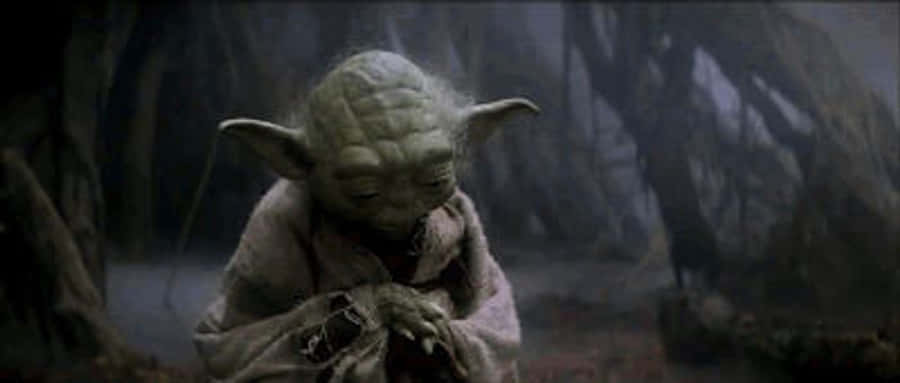 Yoda Looking Down GIF