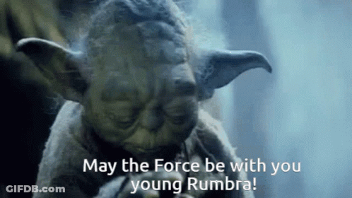 Yoda Saying May The Force Be With You GIF