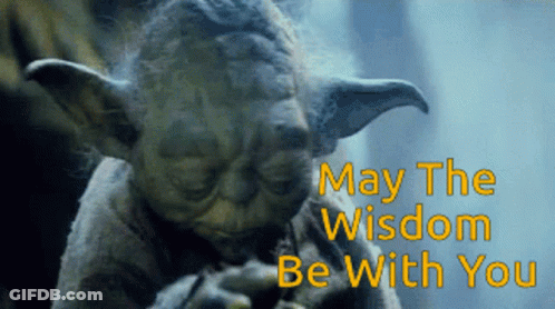 Yoda Saying May The Wisdom Be With You GIF