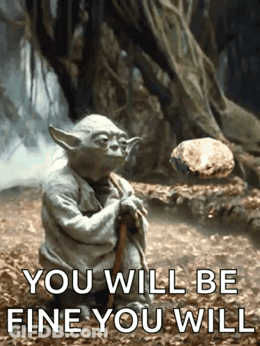 Yoda Saying You Will Be Fine GIF