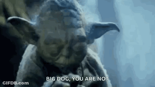 Yoda Smoking Pipe Saying Big Dog You Are Not GIF