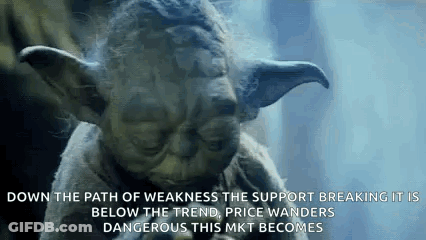 Yoda Talking About Weakness And Support GIF