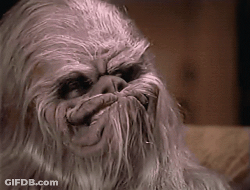 Yoda Talking About Weakness And Support GIF