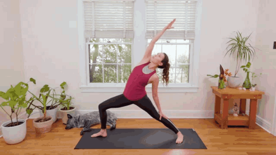 Yoga Reverse Warrior Pose GIF