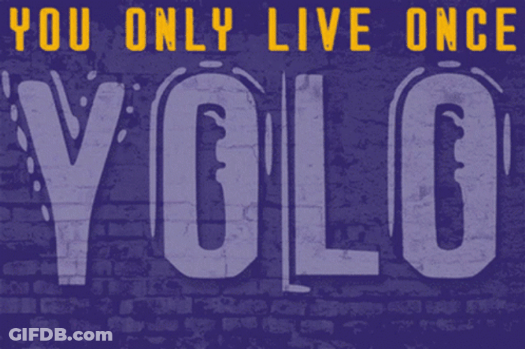 Yolo Painting Animation GIF