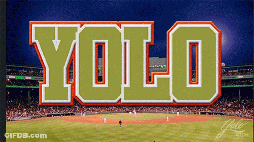 Yolo Yolorum GIF