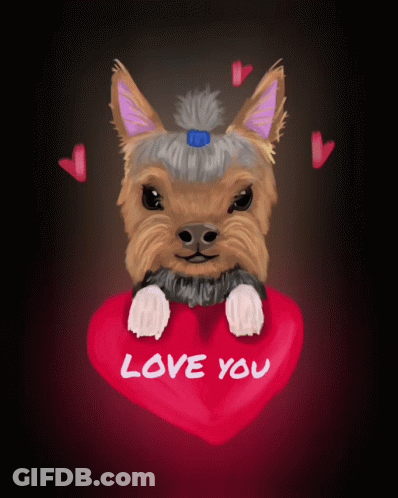 Yorkshire Terrier Holding Love You Heart GIF