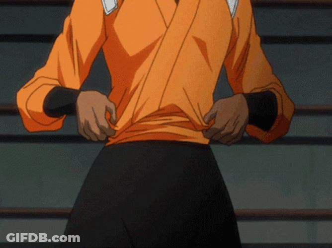 Yoruichi Bleach Anime Princess Shihōin Clan GIF