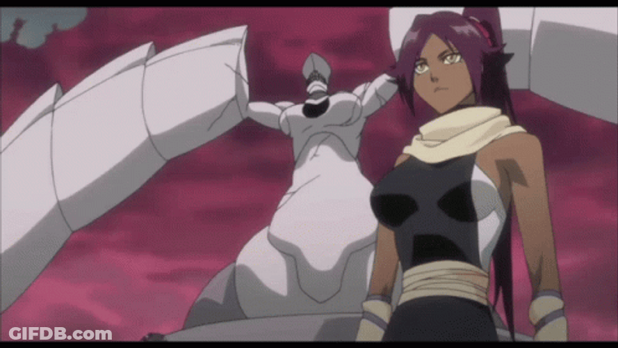 Yoruichi Vs. Soifon Fight Bleach Anime GIF