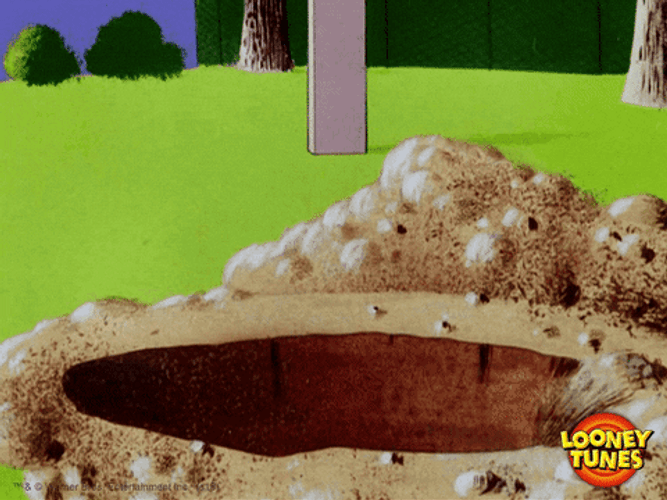 Yosemite Sam Inside A Hole GIF