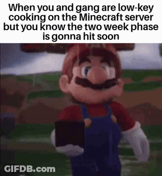 You And Gang Cooking On Minecraft Server Two Week Phasers GIF