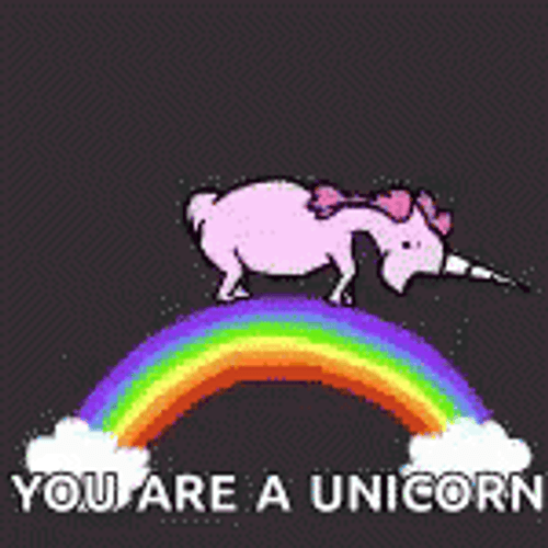 You Are A Unicorn GIF