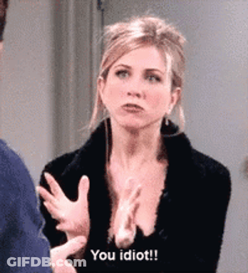 You Are An Idiot Friends Rachel GIF