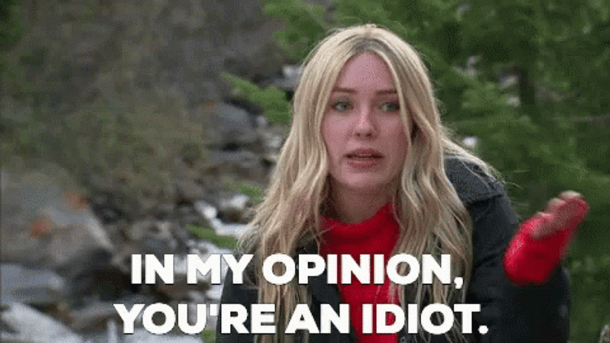 You Are An Idiot In My Opinion Casie GIF