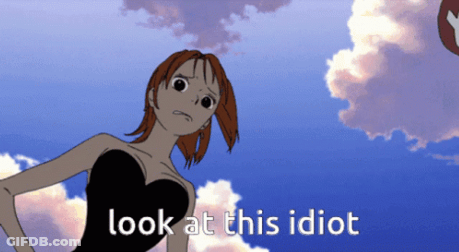 You Are An Idiot One Piece Anime GIF