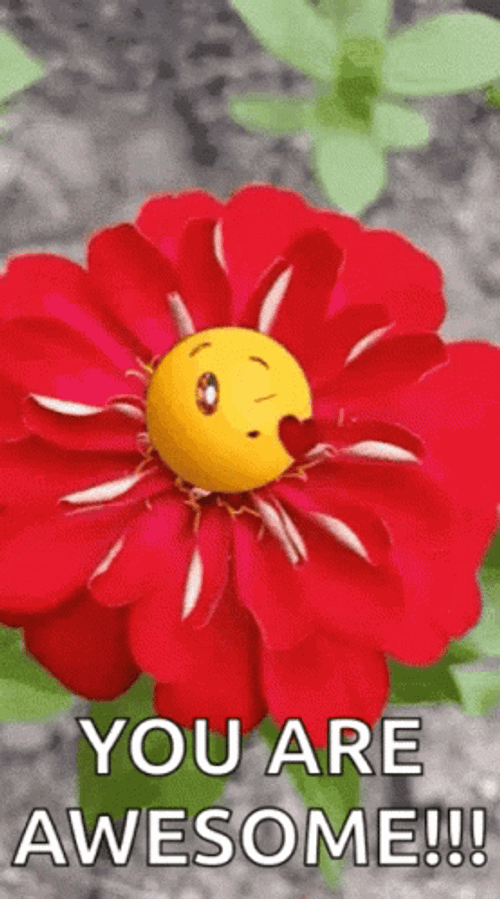 You Are Awesome Flower GIF