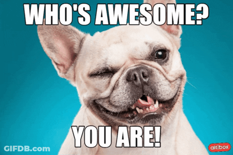 You Are Awesome Pug Dog Wink GIF