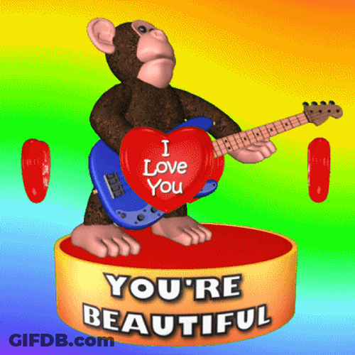 You Are Beautiful Monkey Singer GIF