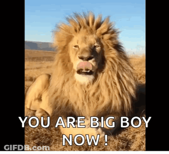 You Are Big Boy Now Lion GIF