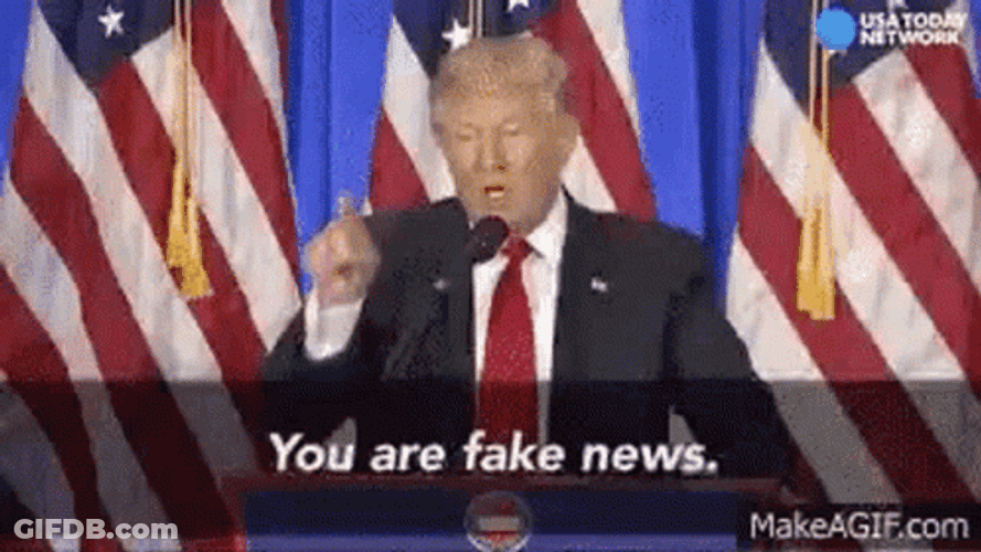 You Are Fake News Trump GIF