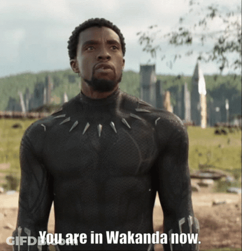You Are In Wakanda Now GIF