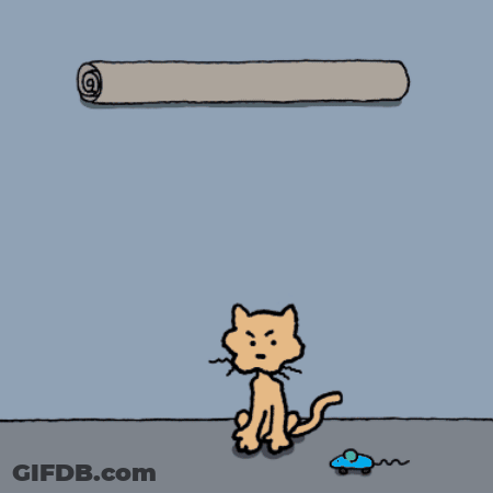 You Are Meow-Velous Chippy The Dog Angry Cat GIF
