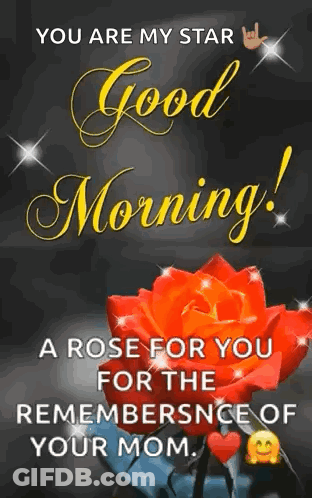 You Are My Star Good Morning Rose GIF