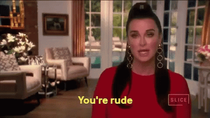 You Are Rude Lady In Red GIF