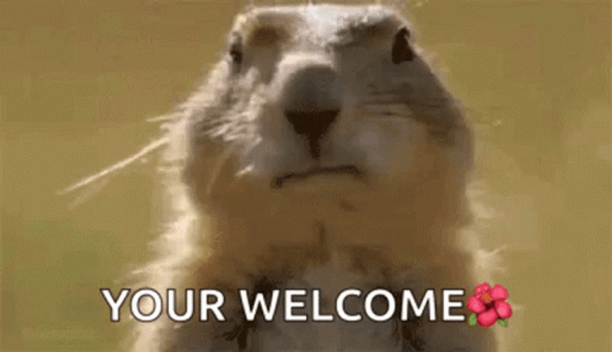 You Are Welcome Bubble Blowing Squirrel GIF