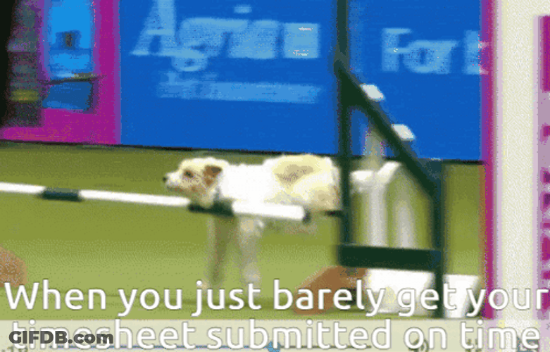 You Barely Submitted Your Timecard On Time GIF