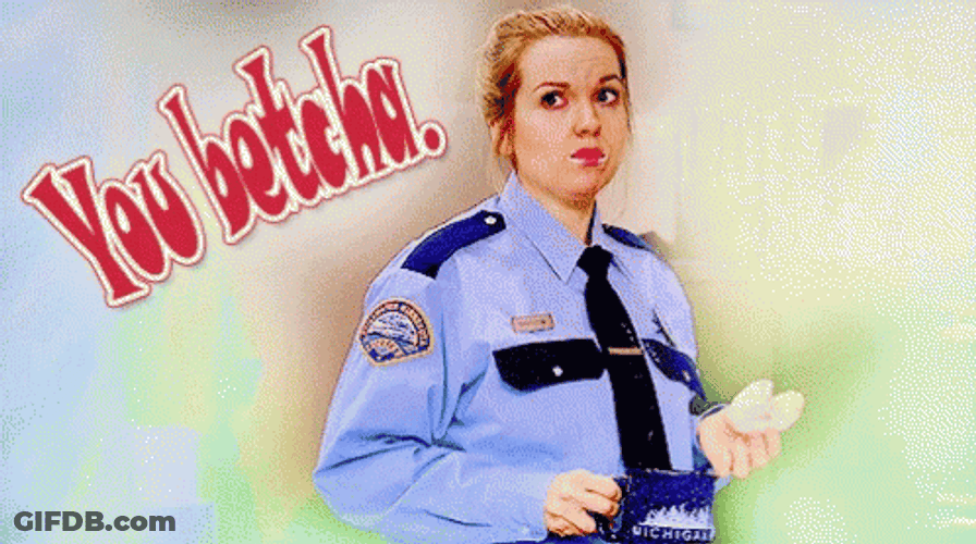 You Betcha Donna Hanscum Meme GIF