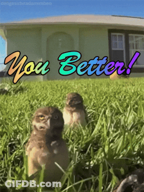 You Better Dance Like This GIF