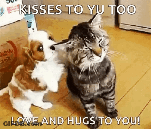 You Better Hug Kiss Love Me GIF