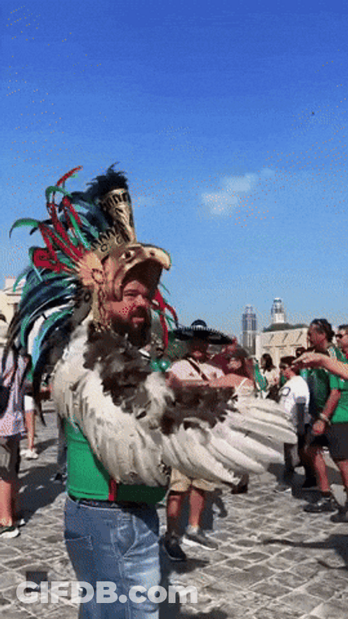 You Boys Like Mexico Bird Costume GIF