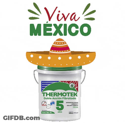 You Boys Like Mexico Bucket GIF