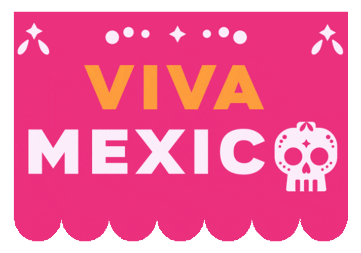 You Boys Like Mexico Colorful Viva Mexico GIF
