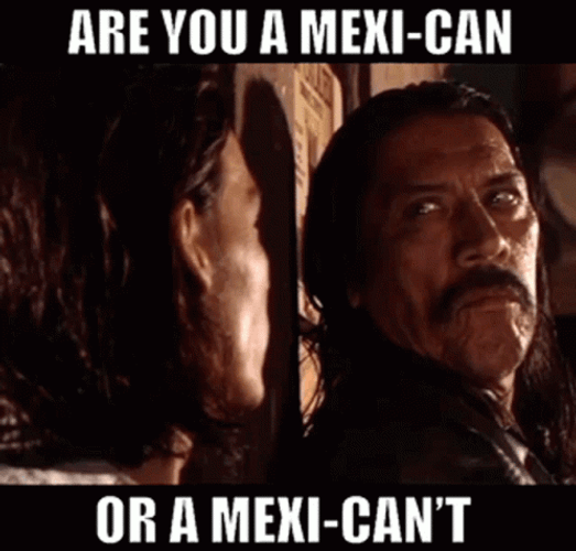 You Boys Like Mexico Danny Trejo GIF