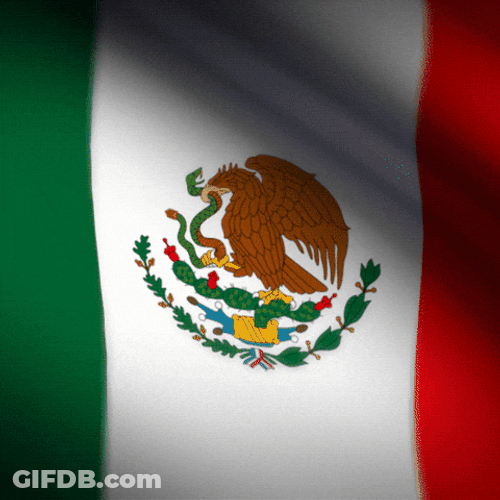 You Boys Like Mexico Flag Wave Motion GIF