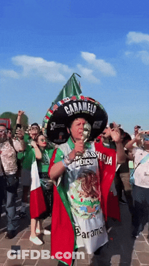 You Boys Like Mexico Proud Man Wearing Flag GIF