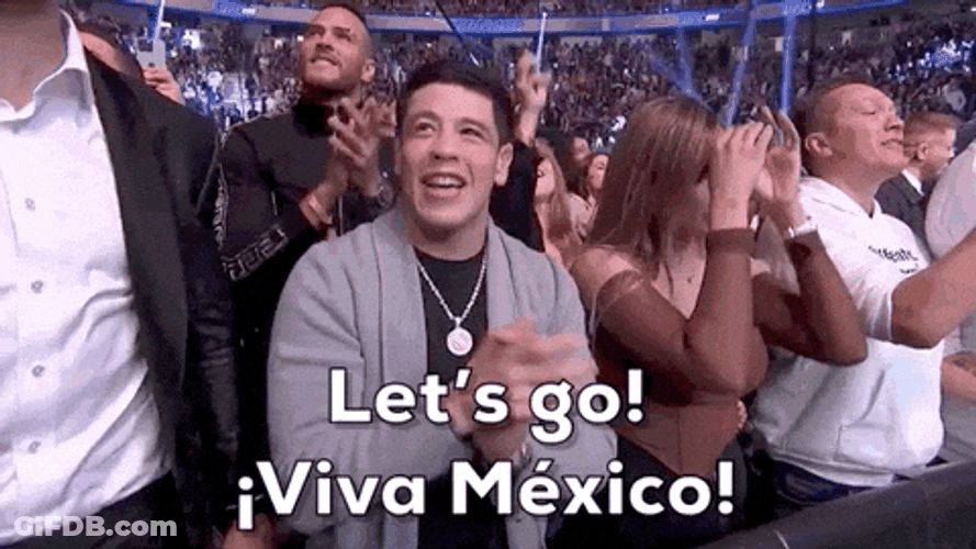 You Boys Like Mexico Viva Mexico GIF